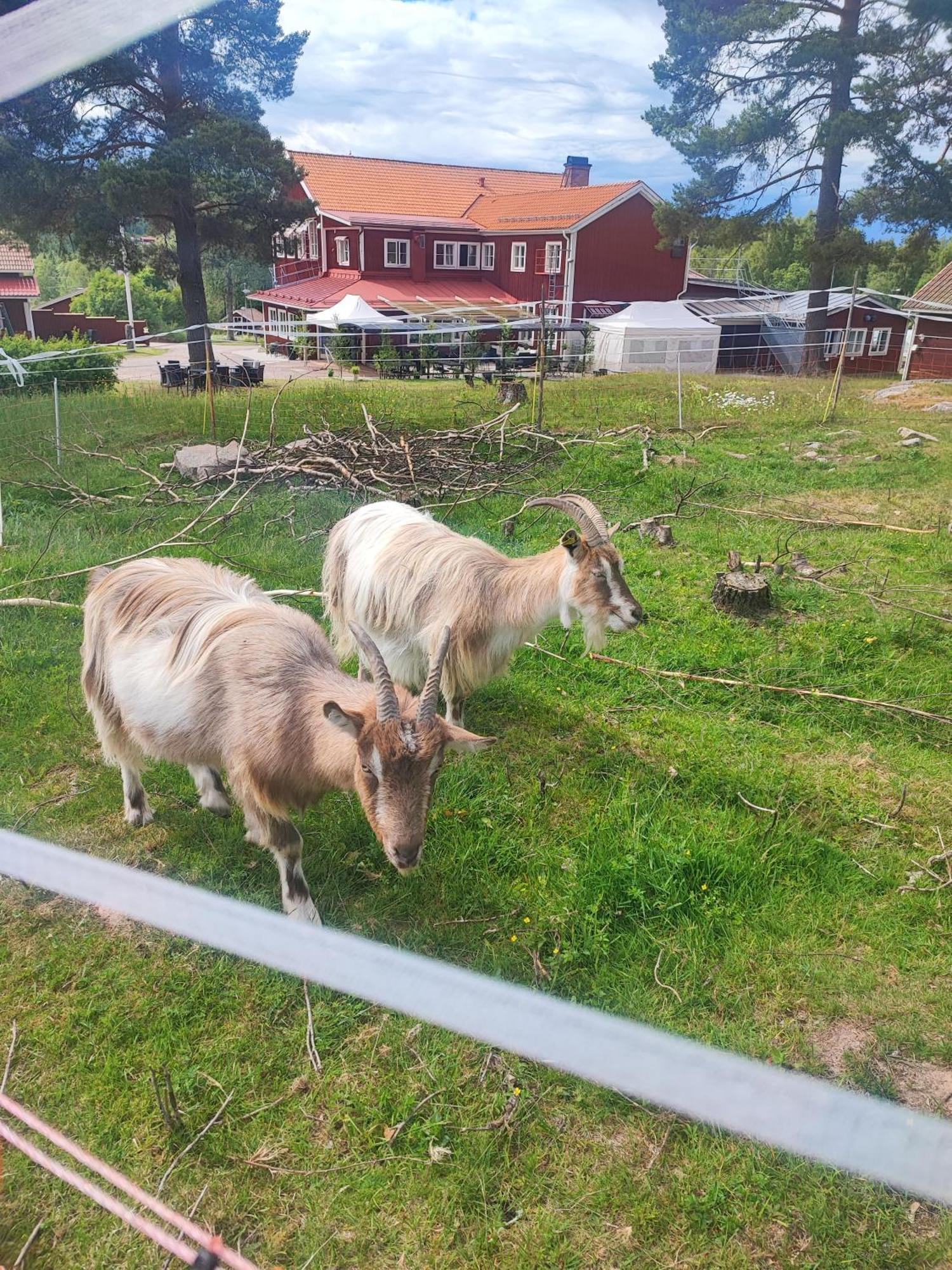 Sjugare Gard Bed & Breakfast Leksand Exterior foto